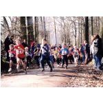 Kreiswaldlaufmeisterschaften 2001: Start der Schler M6 - M9