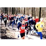 Kreis-Waldlaufmeisterschaften 2002: Starterfeld des Hauptlaufes. Starterfeld des Hauptlaufes.