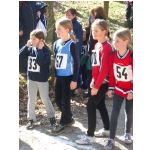 Kreis-Waldlaufmeisterschaften 2003: Start der Schlerinnen W9 und jnger