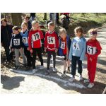 Kreis-Waldlaufmeisterschaften 2003: Start der Schlerinnen W9 und jnger